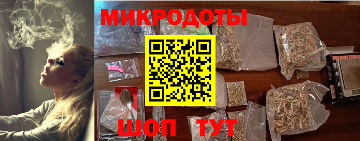 Псилоцибиновые грибы Psilocybe Владикавказ